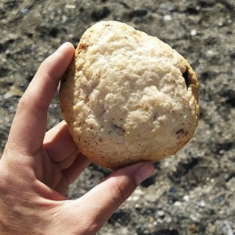 Galletas veganas con chocolate