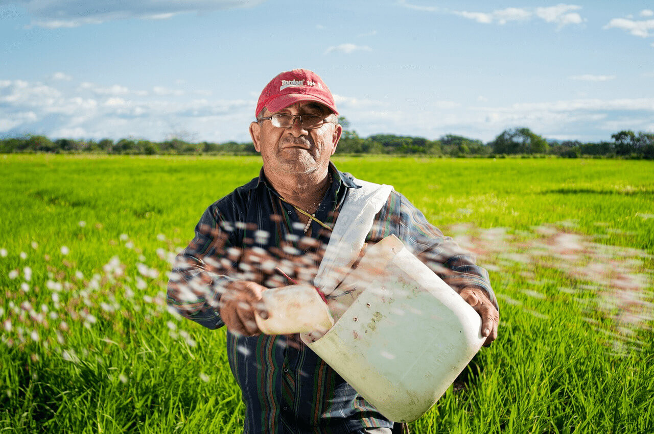 Compromiso de Adpan con la sostenibilidad y el medio ambiente.