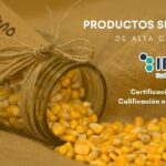 Tarro con granos de maíz derramados junto a los logotipos de Adpan e IFS, acompañado de la frase: “Productos sin gluten de alta calidad. Certificación 2025 - Calificación nivel superior”.